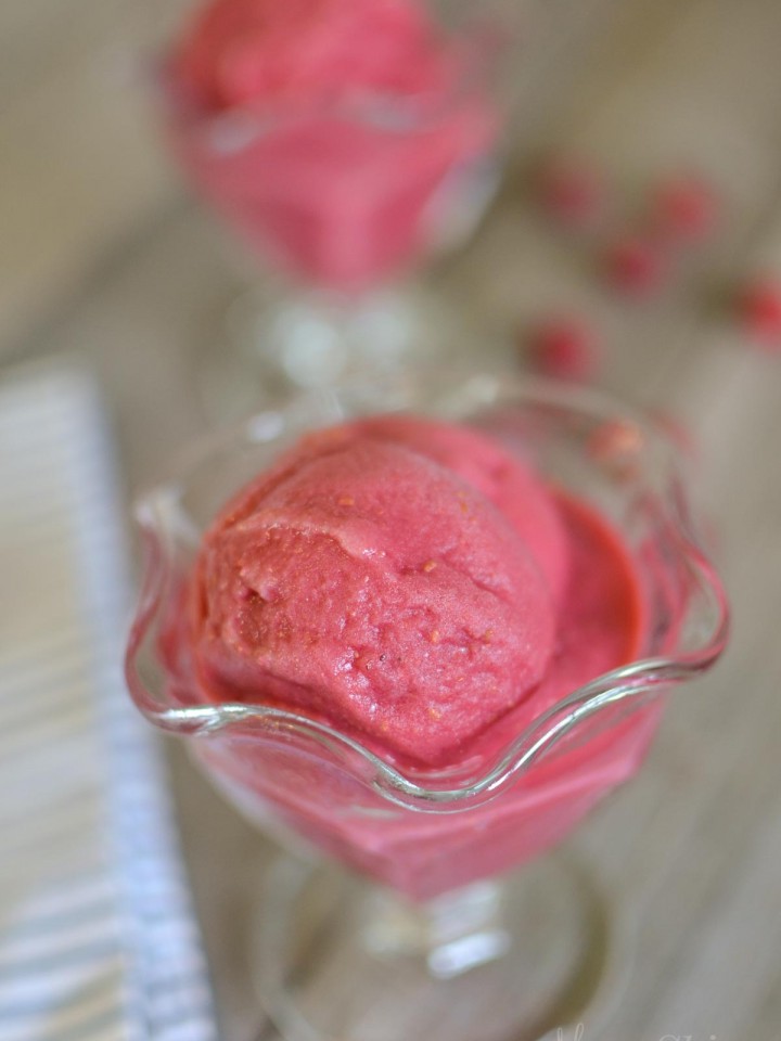 Raspberry Ice Cream - Dairy Free- Sugar Free - MamaShire