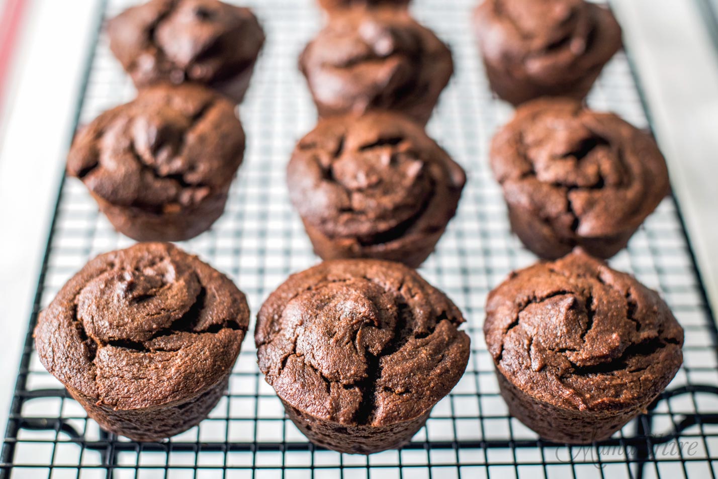 Chocolate Peanut Butter Muffins with summer squash. Gluten-free, dairy-free, sugar-free, low-carb, THM-S. 