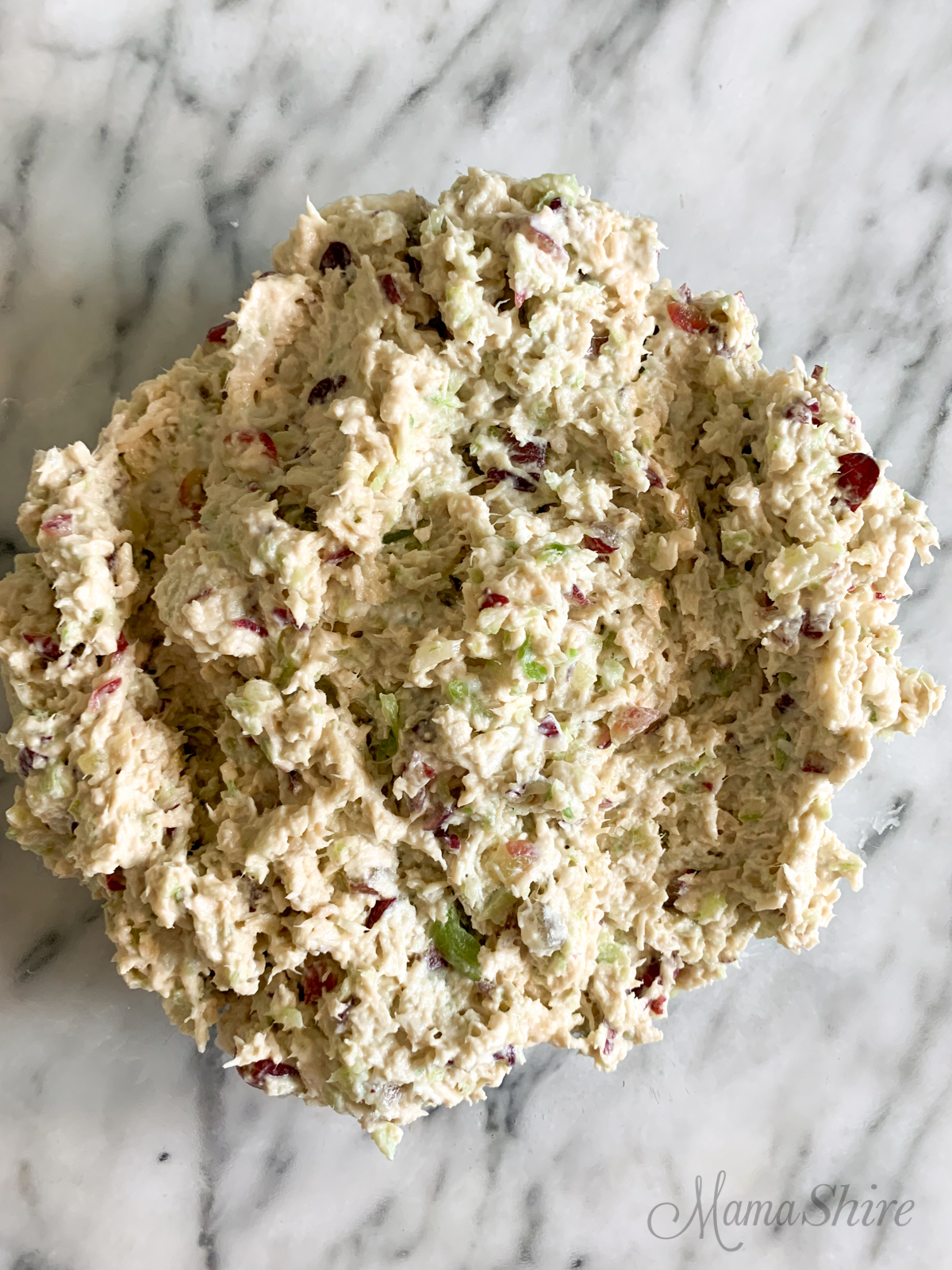 Gluten-free chicken salad made with celery and grapes. 