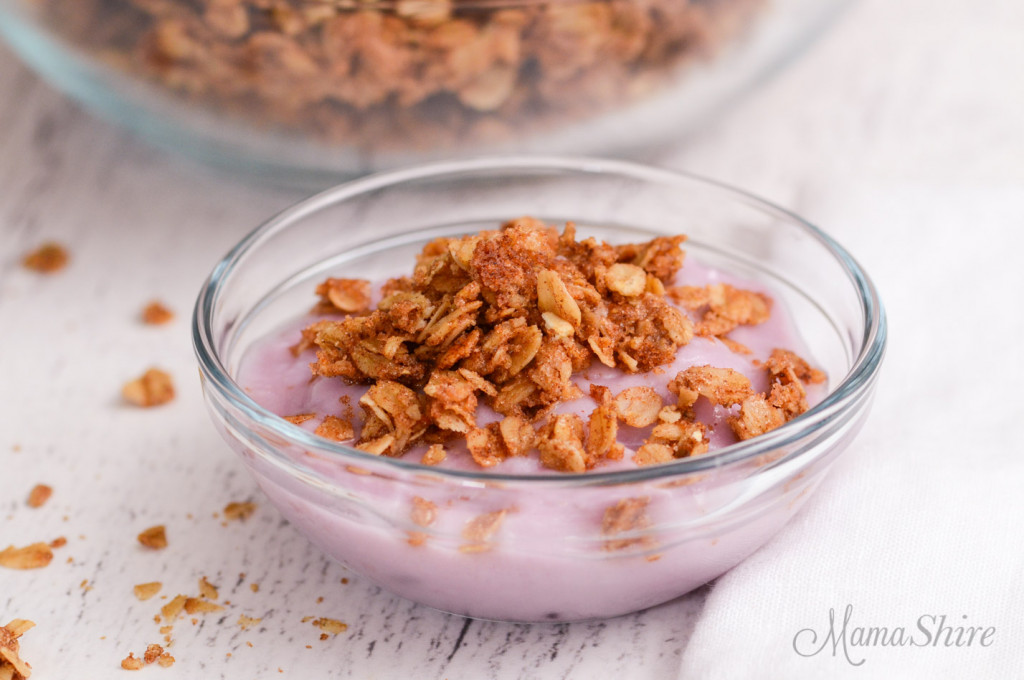 A small bowl of blueberry dairy-free yogurt sprinkled on top with cinnamon granola.