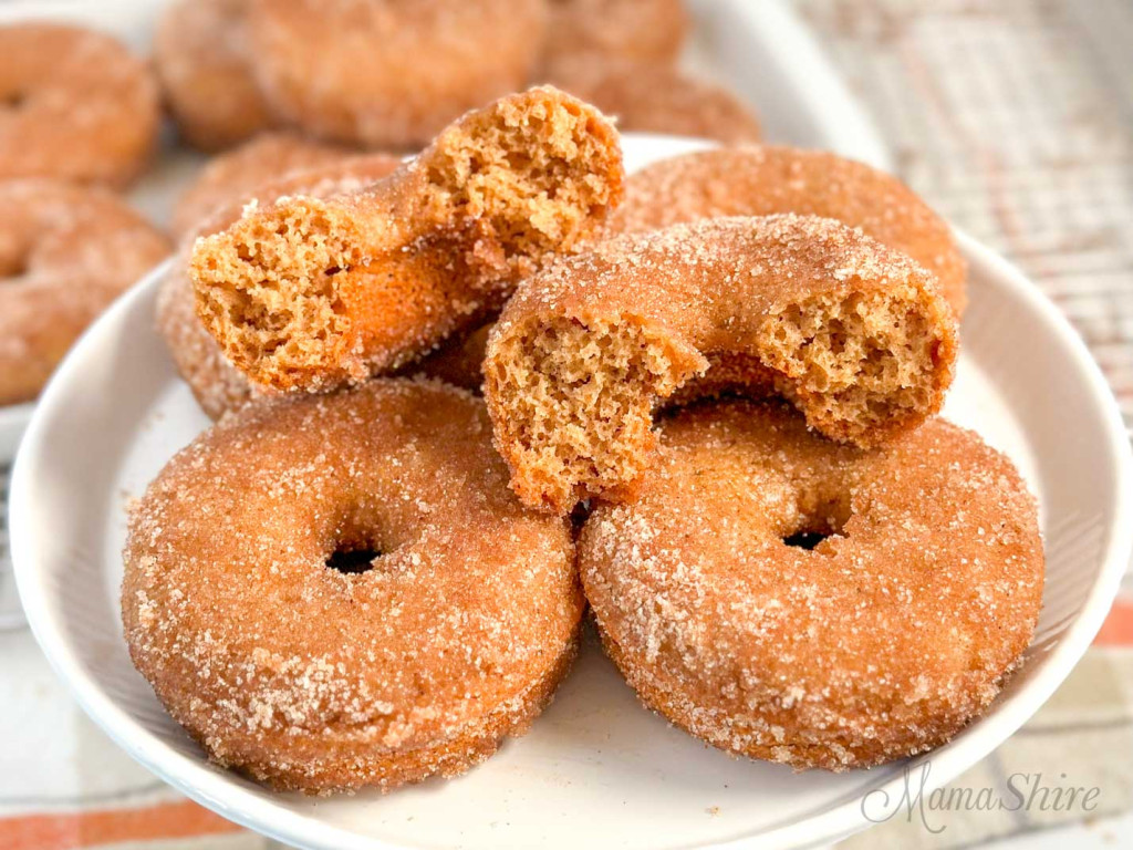 Gluten-Free Apple Cider Donuts with one pulled apart so you can see the inside. 