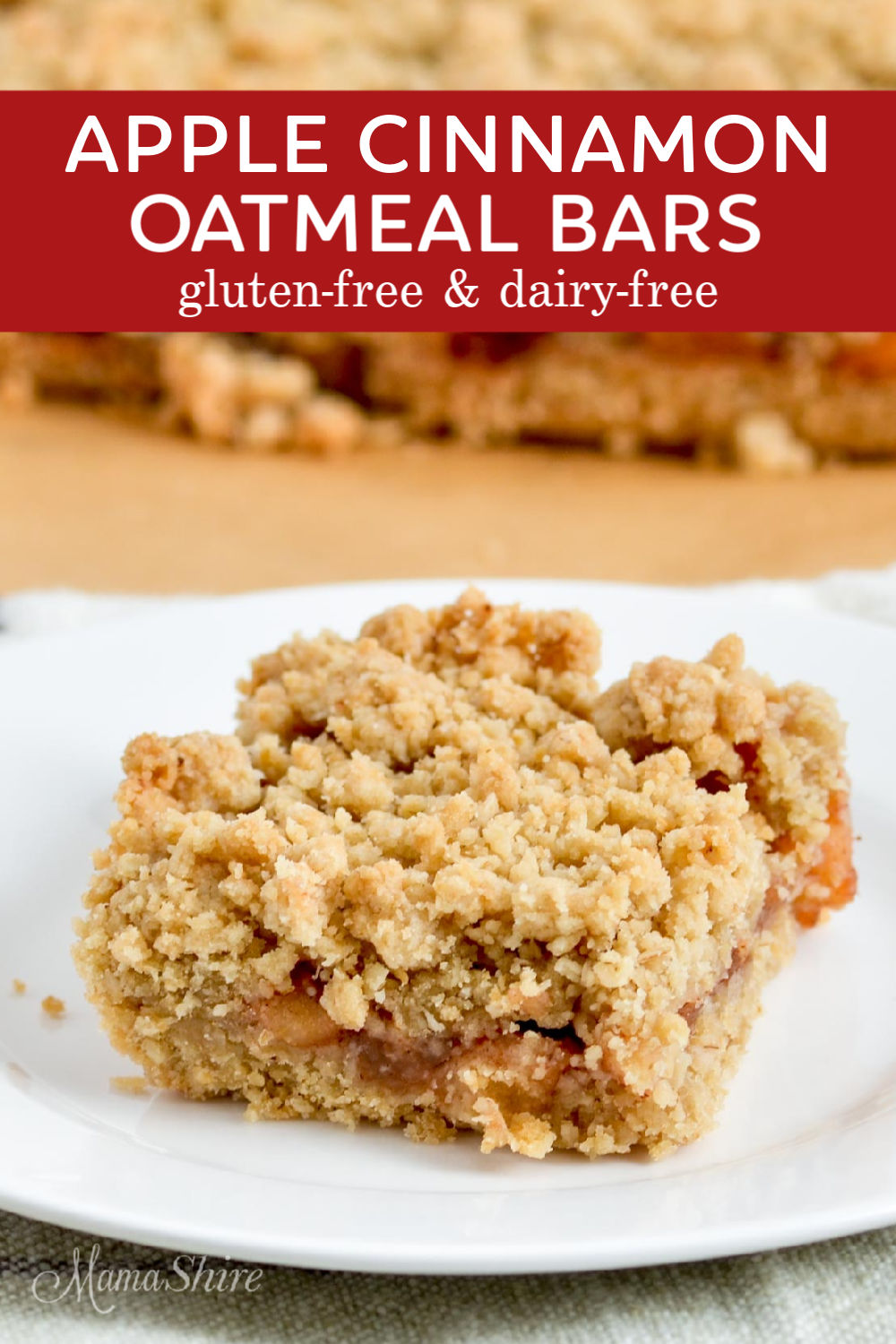 Gluten-free apple cinnamon oatmeal bars