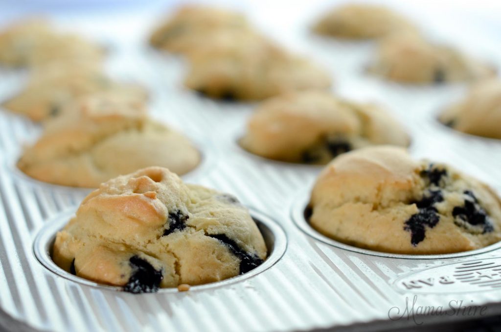 Gluten-free blueberry muffins cooling in a muffin pan for 5 minutes after coming out of the oven.