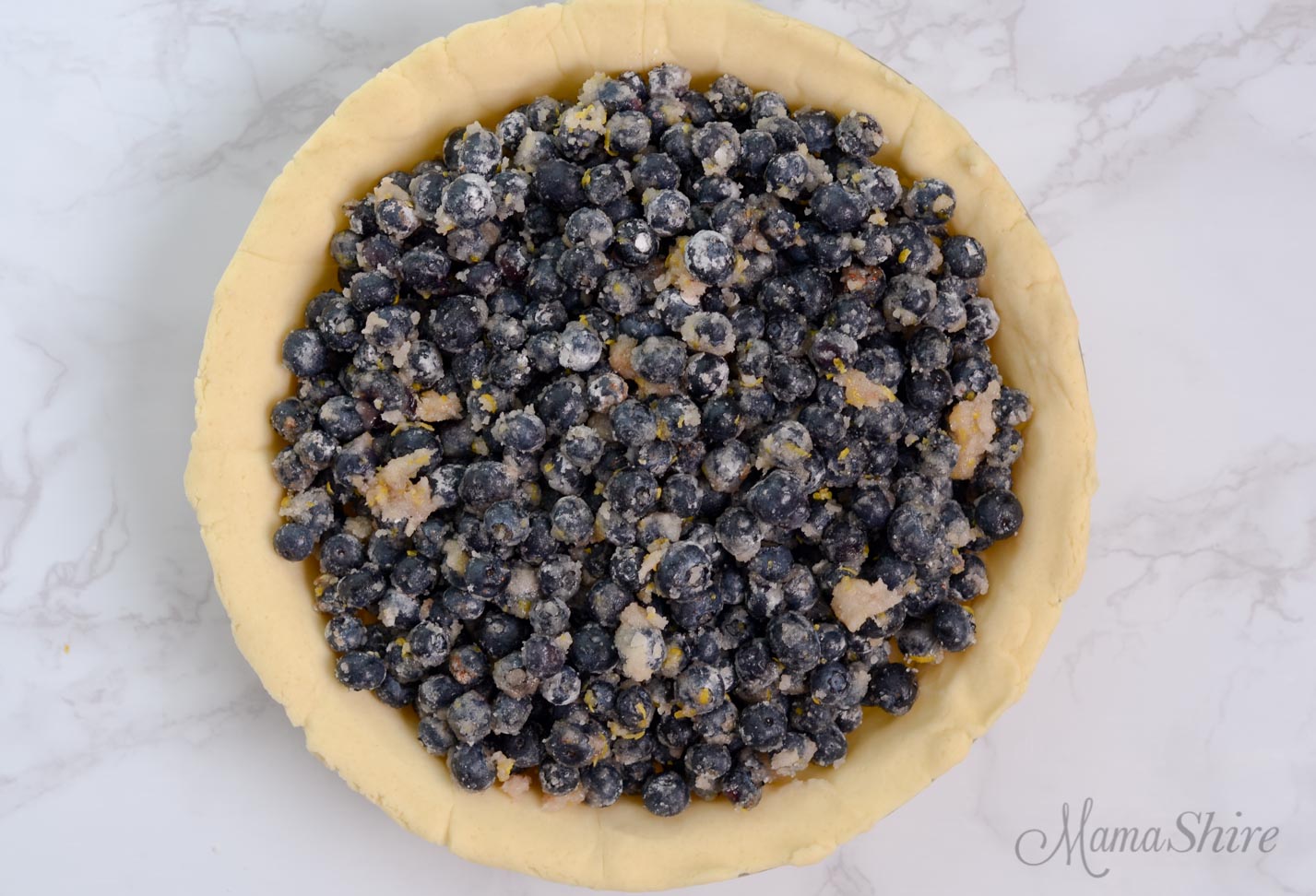 A pie crust with full of blueberry filling.