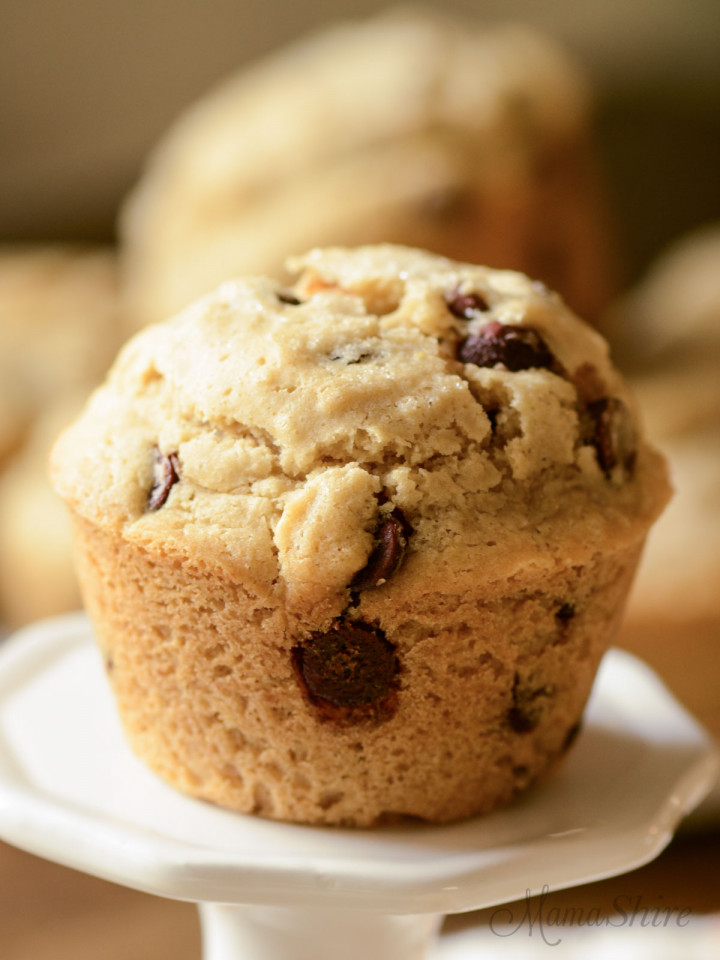A single gluten-free chocolate chip muffin made with dairy-free chocolate chips.