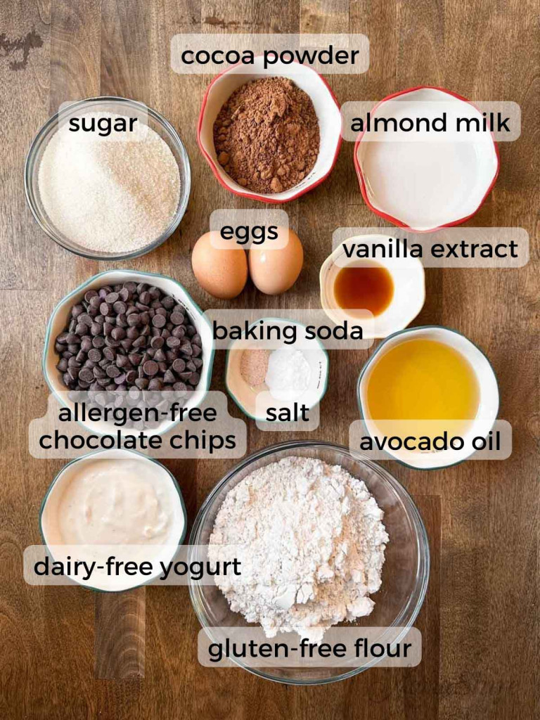 Ingredients all listed and shown for gluten-free double chocolate muffins.