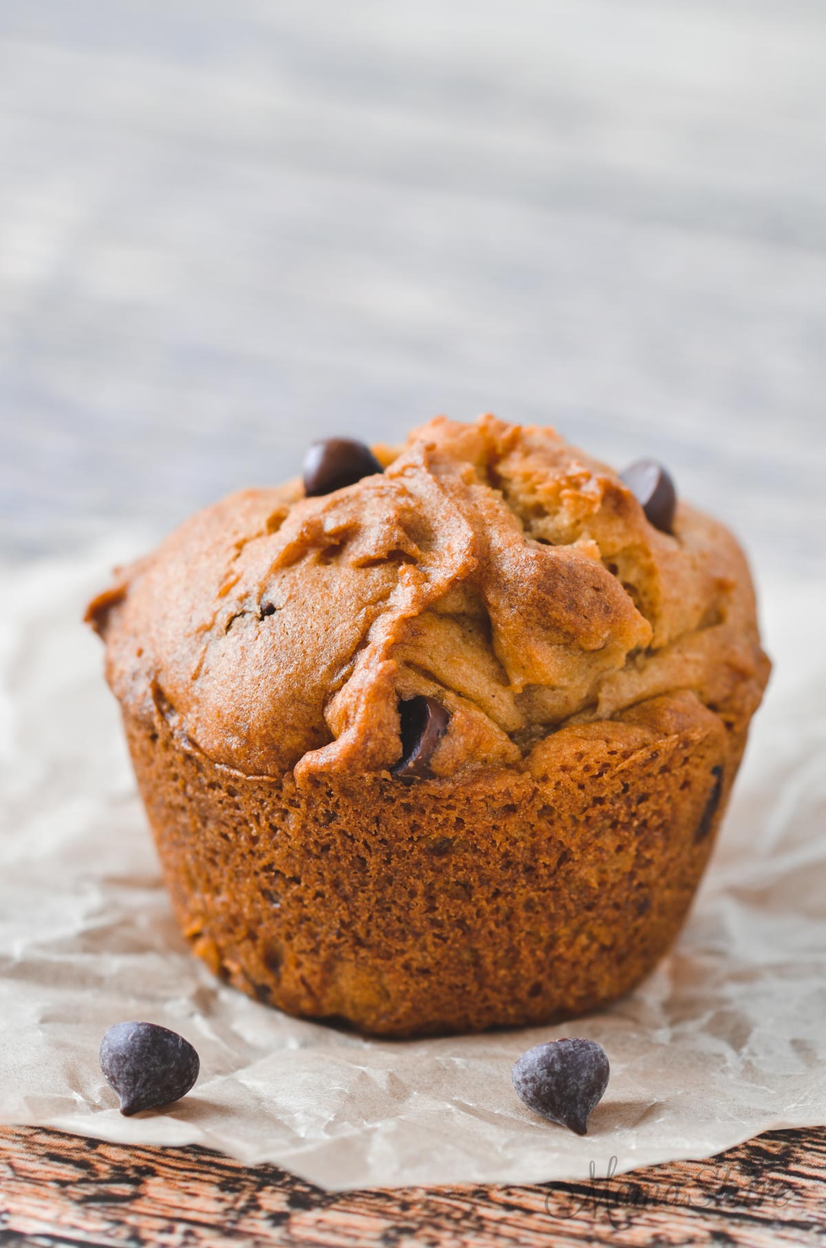 A pumpkin muffin made with chocolate chips. There are a couple of chocolate chips laying around it.