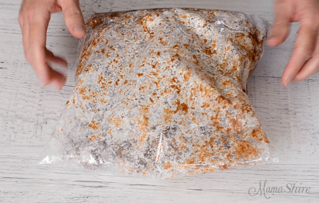 Mixing up puppy chow in a gallon-sized plastic bag.